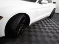 Ford Mustang EcoBoost Fastback Oxford White photo #9
