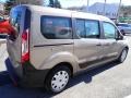 Ford Transit Connect XL Van Diffused Silver photo #6