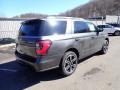 Ford Expedition Limited Stealth Package 4x4 Magnetic Metallic photo #2