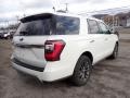 Ford Expedition Limited 4x4 Star White photo #2