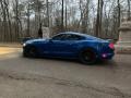 Ford Mustang GT Coupe Lightning Blue photo #10