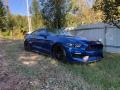Ford Mustang GT Coupe Lightning Blue photo #13
