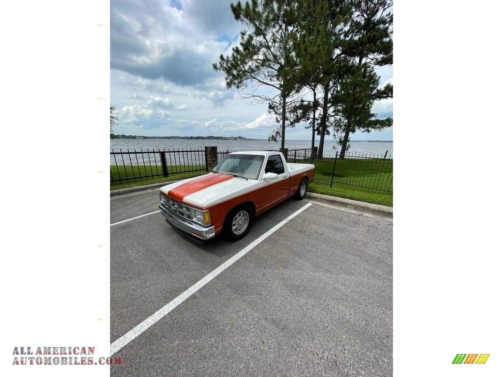 1989 S10 Regular Cab - Custom Orange / Saddle photo #6