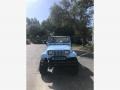Jeep Wrangler Islander 4x4 Spinnaker Blue photo #14