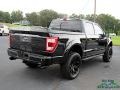 Ford F150 Shelby Off-Road SuperCrew 4x4 Agate Black photo #5