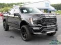 Ford F150 Shelby Off-Road SuperCrew 4x4 Agate Black photo #7