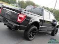 Ford F150 Shelby Off-Road SuperCrew 4x4 Agate Black photo #43