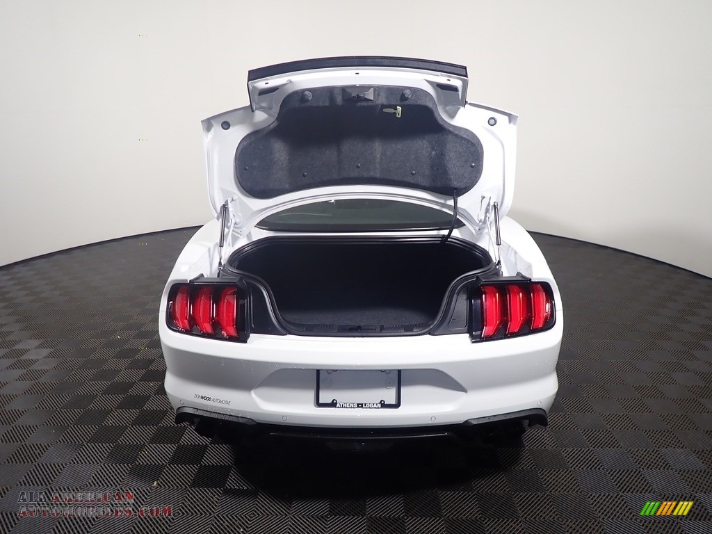 2019 Mustang GT Fastback - Oxford White / Ebony photo #12