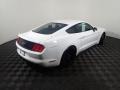 Ford Mustang GT Fastback Oxford White photo #15