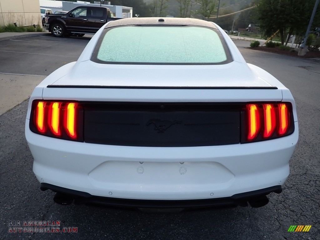 2019 Mustang EcoBoost Premium Fastback - Oxford White / Showstopper Red photo #3