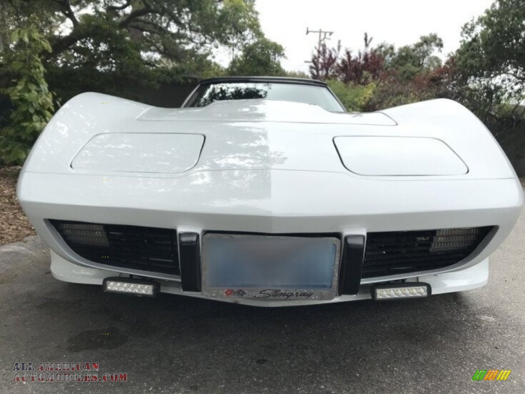 1979 Corvette Coupe - Classic White / Red photo #23