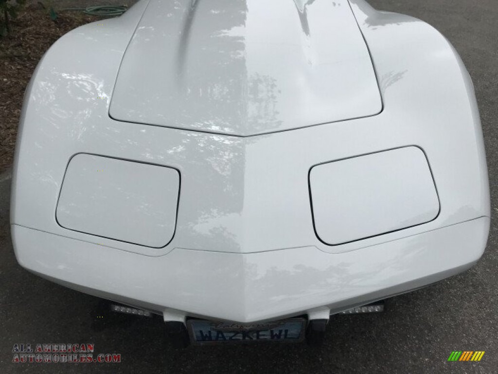 1979 Corvette Coupe - Classic White / Red photo #24
