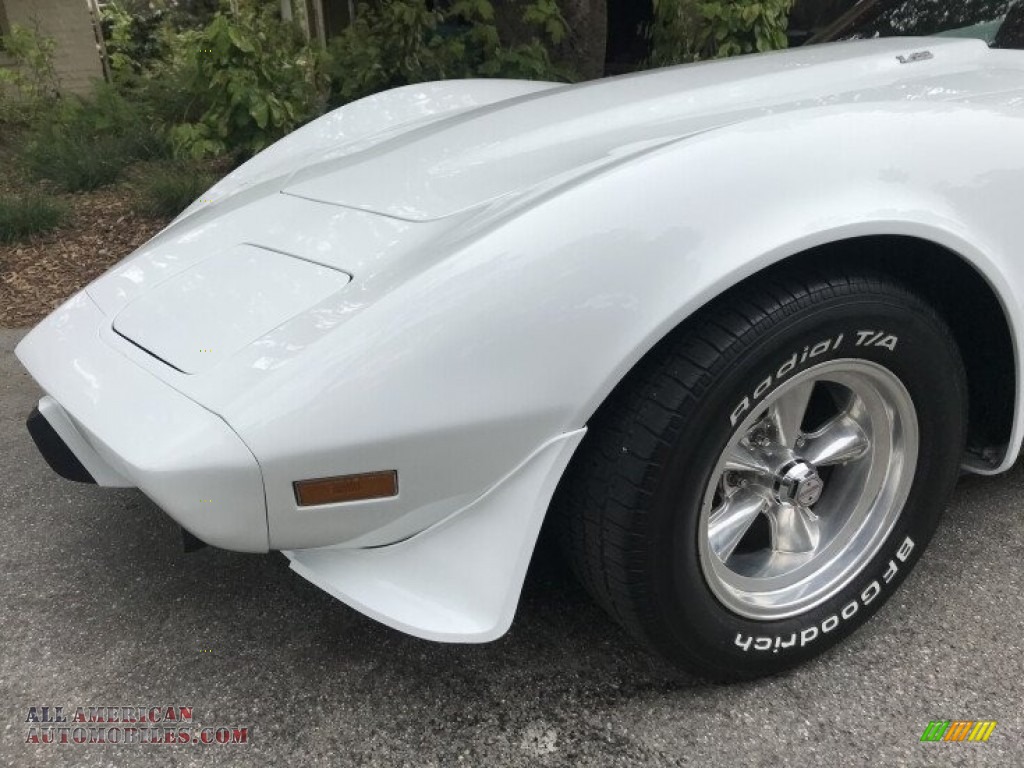 1979 Corvette Coupe - Classic White / Red photo #25