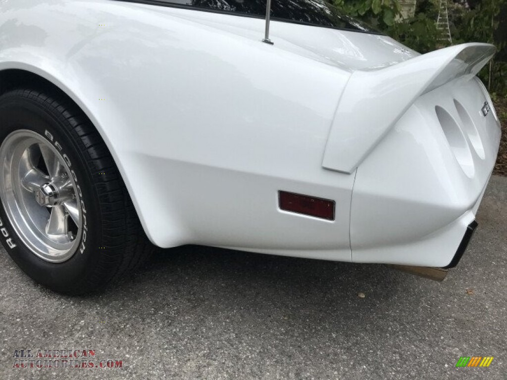 1979 Corvette Coupe - Classic White / Red photo #29