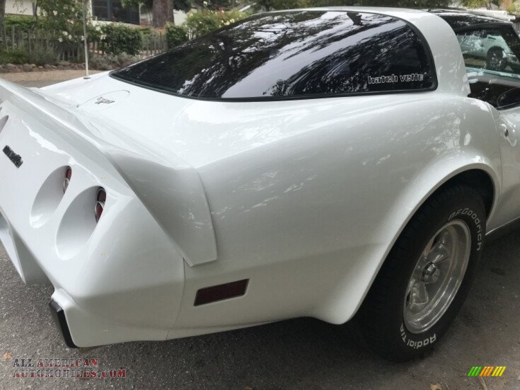1979 Corvette Coupe - Classic White / Red photo #32