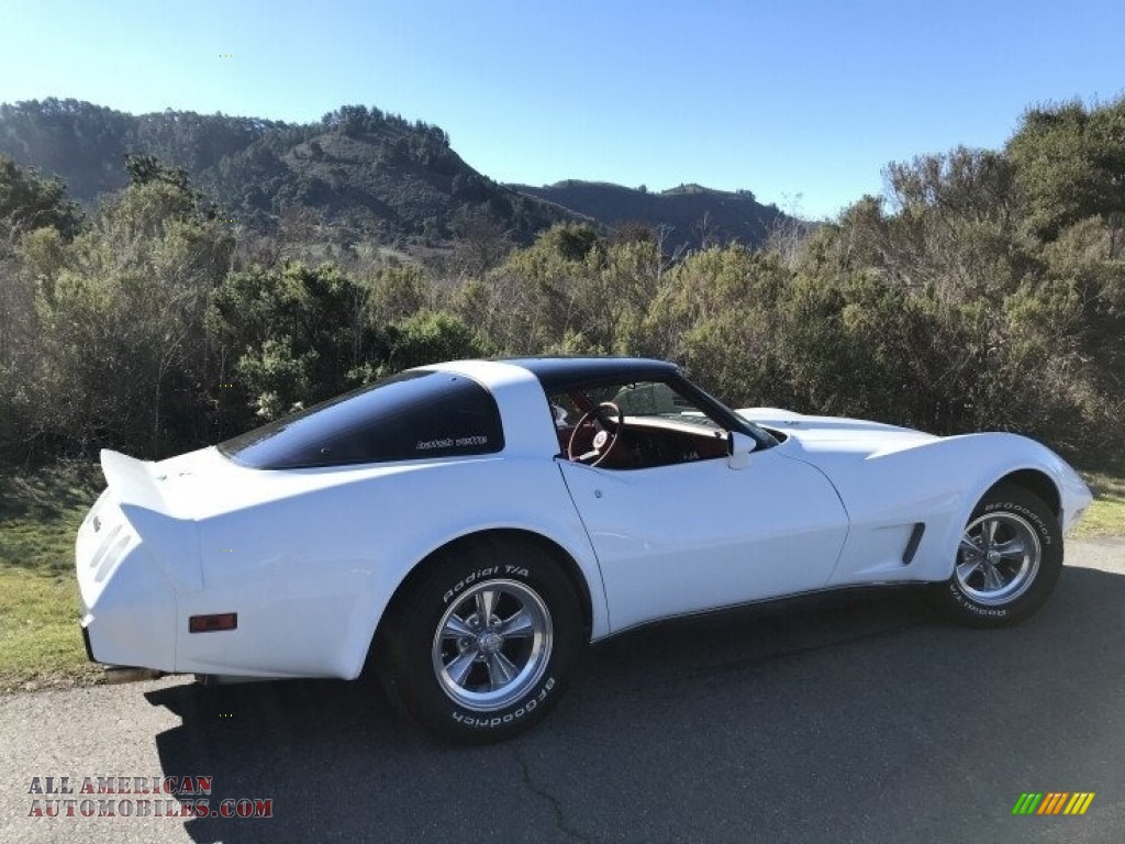 1979 Corvette Coupe - Classic White / Red photo #34