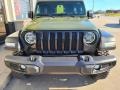 Jeep Wrangler Unlimited Willys 4x4 Sarge Green photo #40