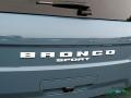 Ford Bronco Sport Big Bend 4x4 Area 51 photo #26