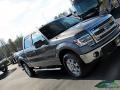 Ford F150 XLT SuperCrew 4x4 Sterling Grey photo #24