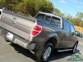 Ford F150 XLT SuperCrew 4x4 Sterling Grey photo #25
