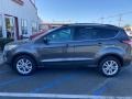 Ford Escape SEL 4WD Magnetic photo #4