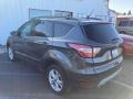 Ford Escape SEL 4WD Magnetic photo #5