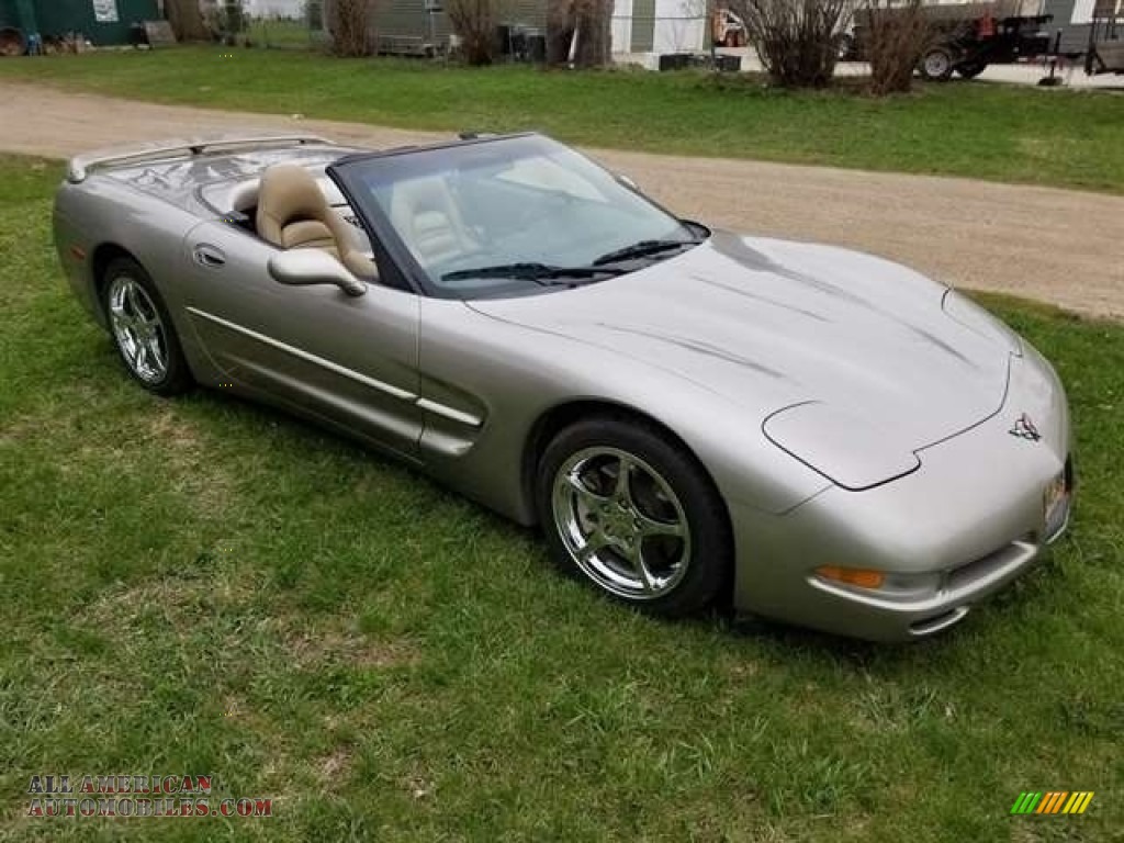 1999 Corvette Convertible - Light Pewter Metallic / Light Oak photo #1