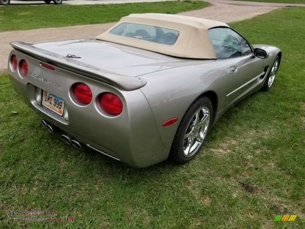 1999 Corvette Convertible - Light Pewter Metallic / Light Oak photo #2