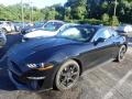 Ford Mustang EcoBoost Fastback Shadow Black photo #1