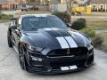 Ford Mustang Shelby GT500 Shadow Black photo #1