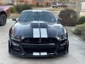Ford Mustang Shelby GT500 Shadow Black photo #2