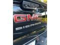 GMC Sierra 1500 Pro Regular Cab Onyx Black photo #18