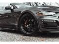 Ford Mustang Shelby Super Snake Speedster Carbonized Gray Metallic photo #5