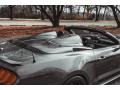 Ford Mustang Shelby Super Snake Speedster Carbonized Gray Metallic photo #7