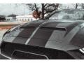 Ford Mustang Shelby Super Snake Speedster Carbonized Gray Metallic photo #8