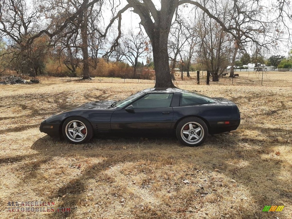 1992 Corvette Coupe - Black / Black photo #2