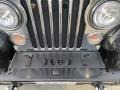 Jeep CJ7 Renegade 4x4 Classic Black photo #3