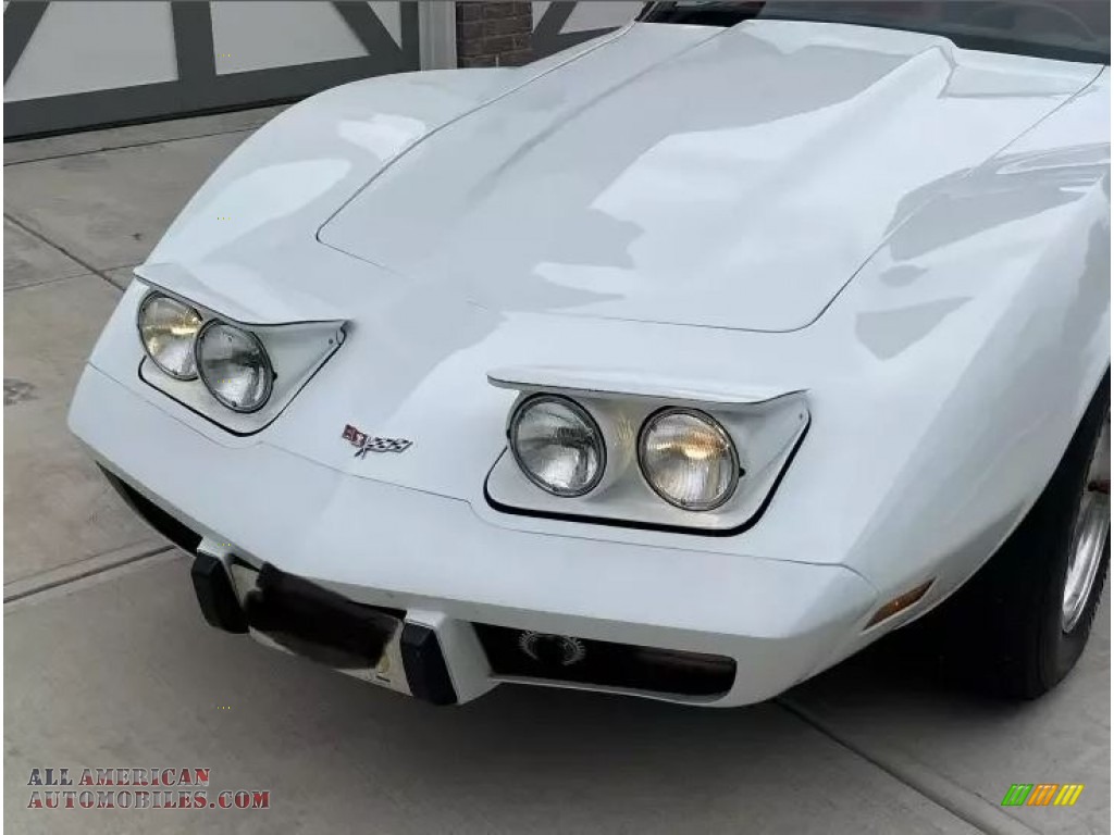 1979 Corvette Coupe - Classic White / Red photo #28