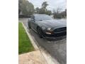 Ford Mustang GT Coupe Magnetic Metallic photo #4