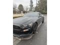 Ford Mustang GT Coupe Magnetic Metallic photo #6