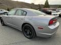Dodge Charger Police Bright Silver Metallic photo #4