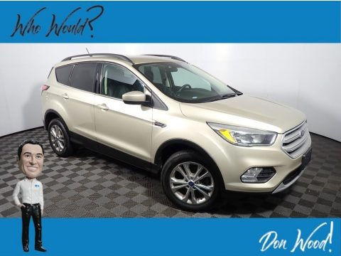 White Gold 2018 Ford Escape SE 4WD