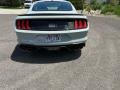 Ford Mustang Mach 1 Fighter Jet Gray photo #10
