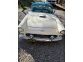 Ford Thunderbird Roadster Colonial White photo #1