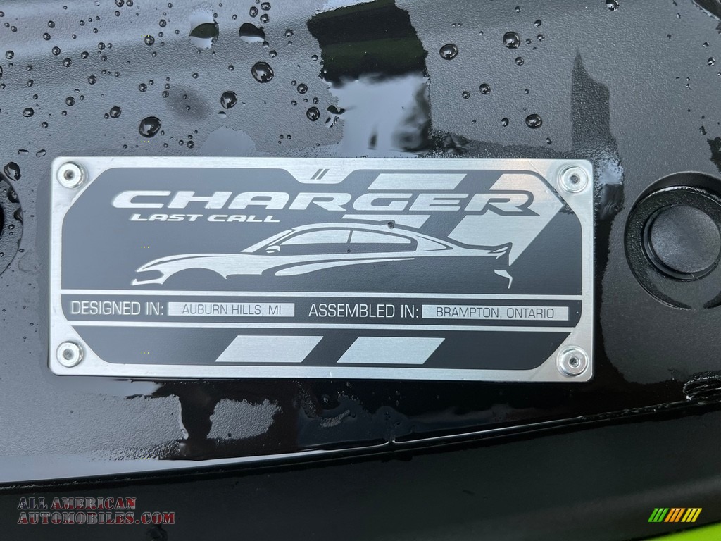 2023 Charger Scat Pack Plus - Sublime Metallic / Black photo #10