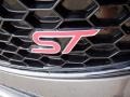 Ford Focus ST Hatch Magnetic photo #12