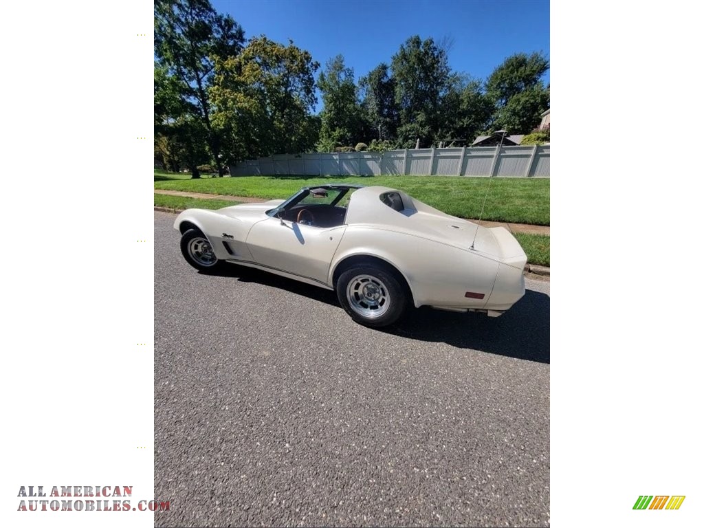 1976 Corvette Stingray Coupe - Custom Pearl White / Dark Brown photo #10