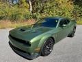 Dodge Challenger R/T Scat Pack Widebody F8 Green photo #3