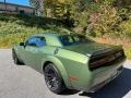 Dodge Challenger R/T Scat Pack Widebody F8 Green photo #9