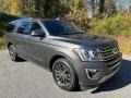 Ford Expedition Limited Max Magnetic Metallic photo #4